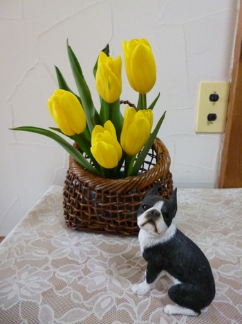 c0280416_0244450.jpg