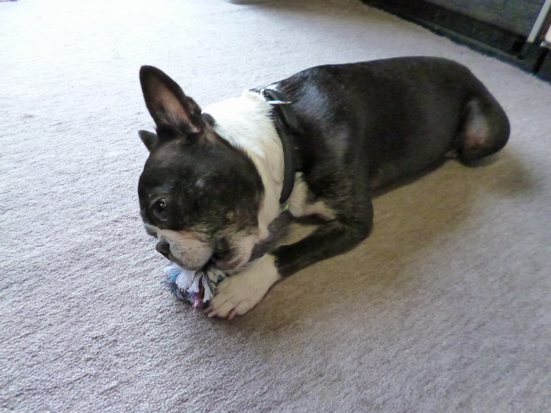 c0280416_036298.jpg
