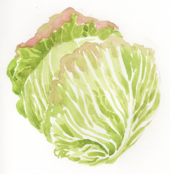 c0320316_00140974.png