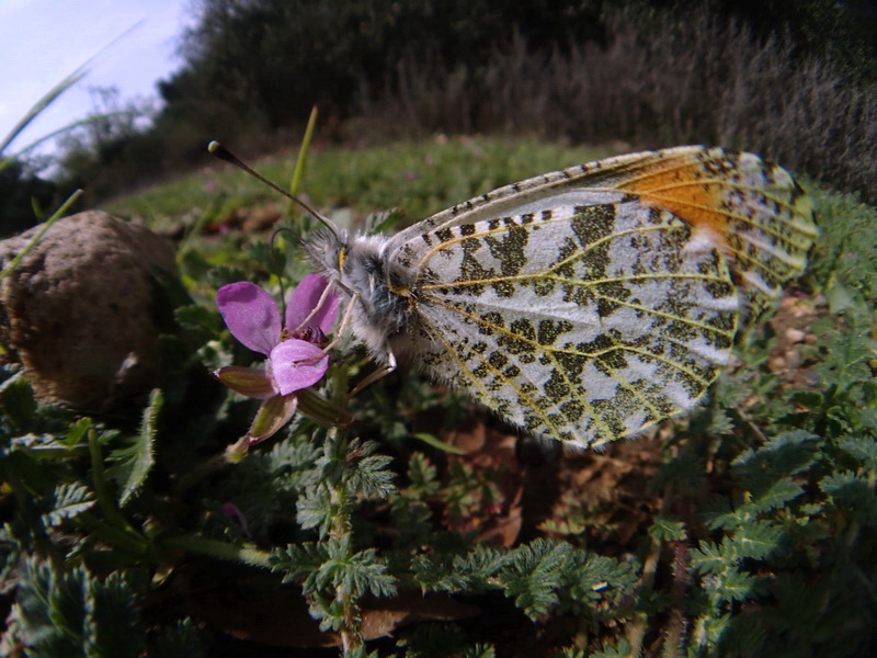 d0090322_18368.jpg