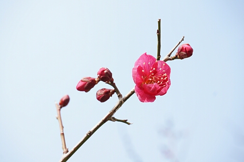 f0037227_2336986.jpg