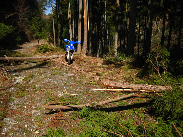 春の房総林道ツーリング　（WR250F）_f0126932_1141955.jpg