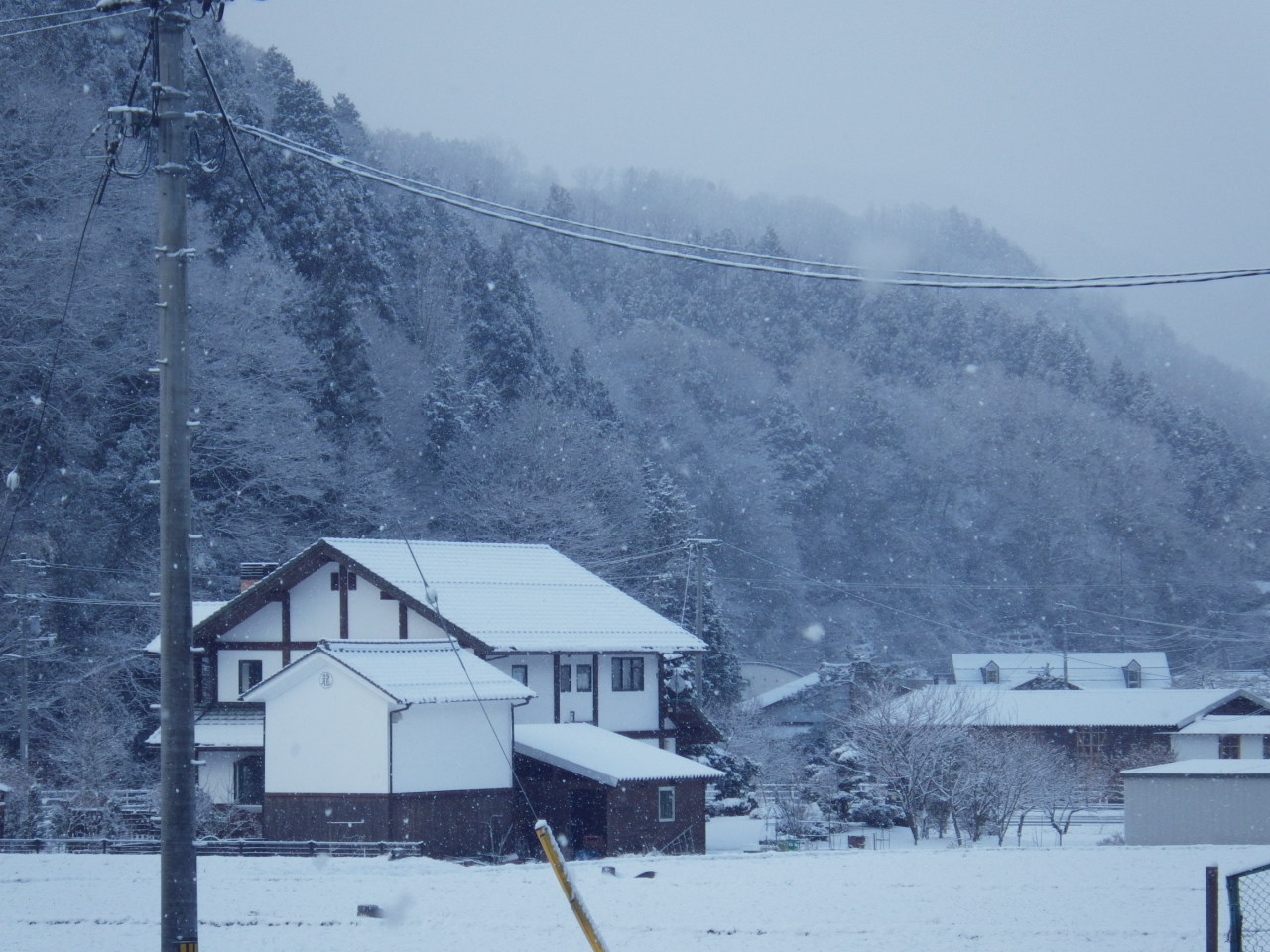 c0300035_922068.jpg