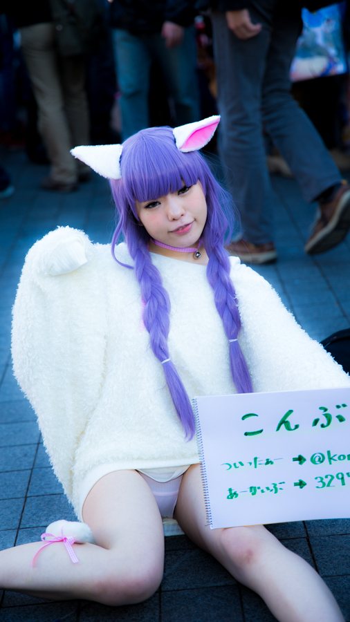 Tokyo Big Sight Comiket 2013 冬 vol.3_d0195335_1842689.jpg