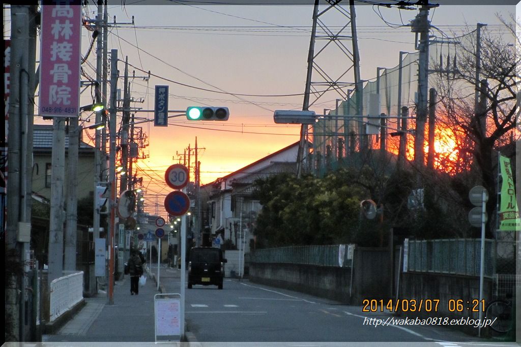 e0052135_1853832.jpg