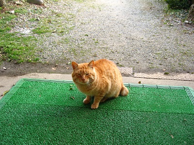 ICカードリーダと、ご近所さん_f0182936_21201962.jpg