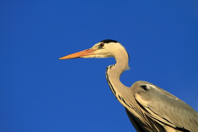 a0242438_19234370.jpg
