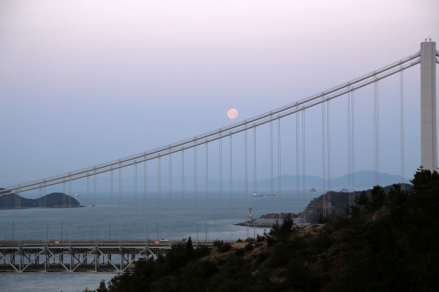 a0242438_19263627.jpg