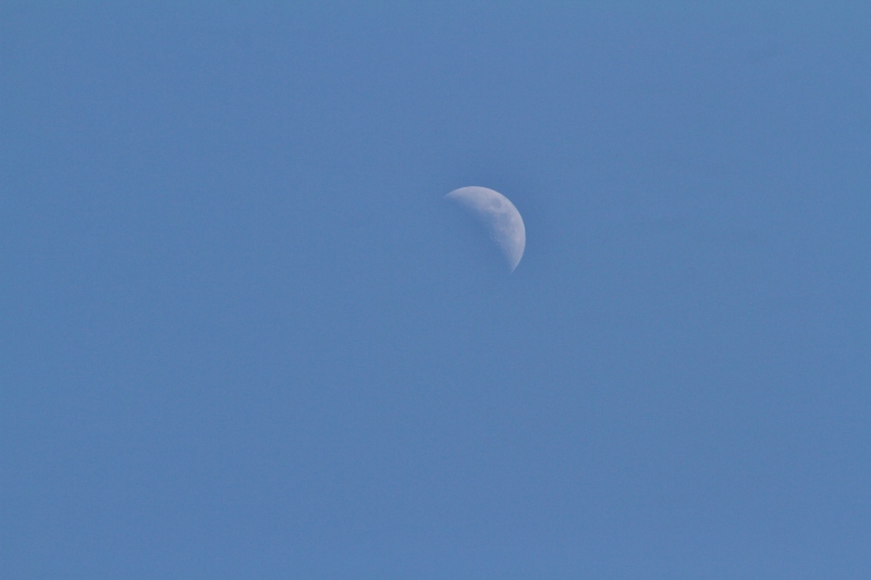 c0172139_22582793.jpg