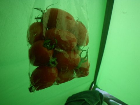 f0046250_11122918.jpg