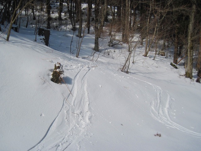 2014.3.7　山スキー中尾山_c0219866_16232068.jpg