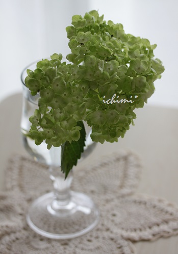 今週のお花チューリップ_f0200568_18351432.jpg