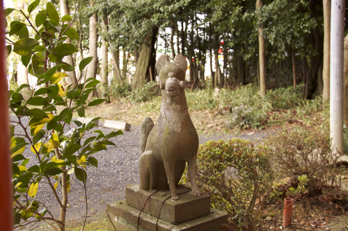 近くの稲荷神社_b0286869_15151098.jpg