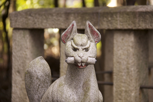 近くの稲荷神社_b0286869_15195960.jpg