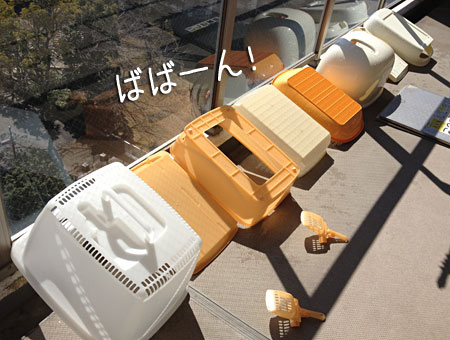 a0119470_035452.jpg
