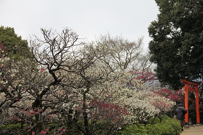 f0259373_17102264.jpg