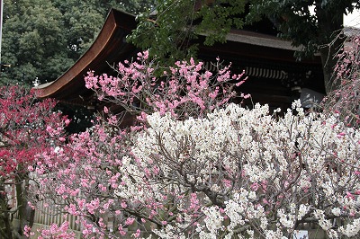 f0259373_17103034.jpg