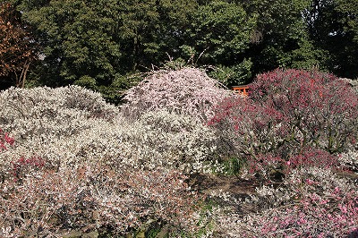 f0259373_17171357.jpg