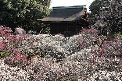 f0259373_17172579.jpg