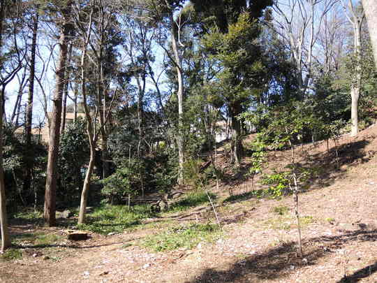 e0232277_10483964.jpg