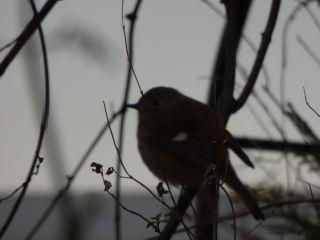 2014年3月7日 たぶんむちうち?。。_b0098584_21405072.jpg