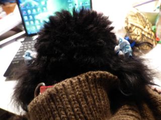 2014年3月7日 たぶんむちうち?。。_b0098584_2143746.jpg