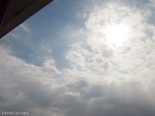 e0211786_1025669.jpg