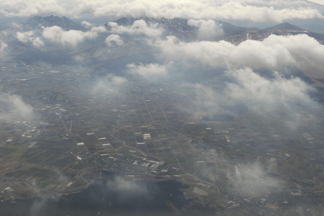 d0181492_1746574.jpg