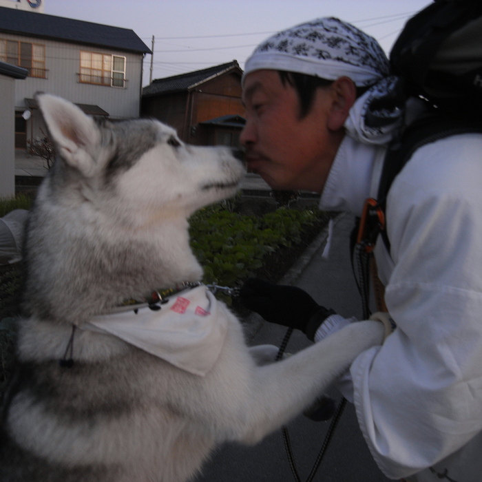 Memory of the second pilgrimage with husky HANA II_c0049299_20562564.jpg