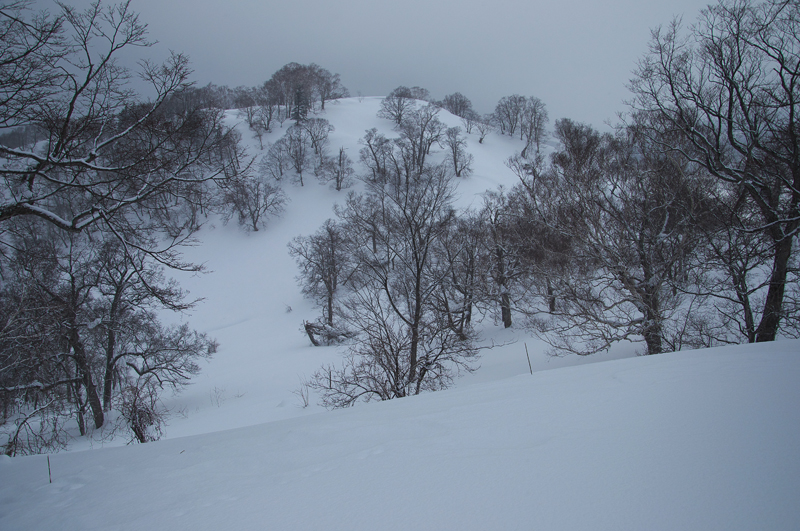 十万坪（三等三角点　当別町）　　2014.3.2　_f0200402_2273137.jpg