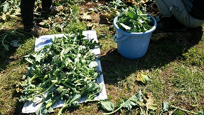 e0270403_2243848.jpg