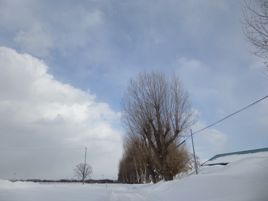 b0198109_17334818.jpg