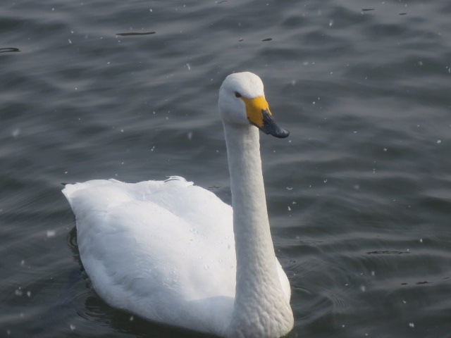 f0248616_1551271.jpg