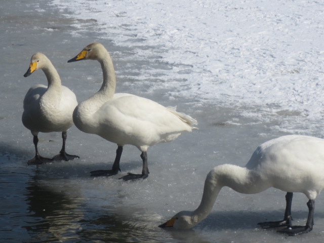 f0248616_15521062.jpg
