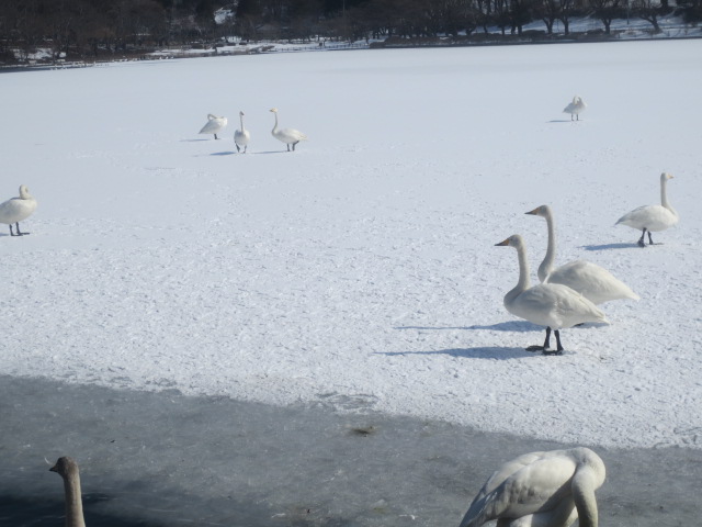 f0248616_1553592.jpg