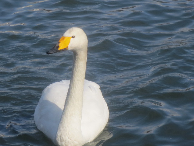 f0248616_16175442.jpg