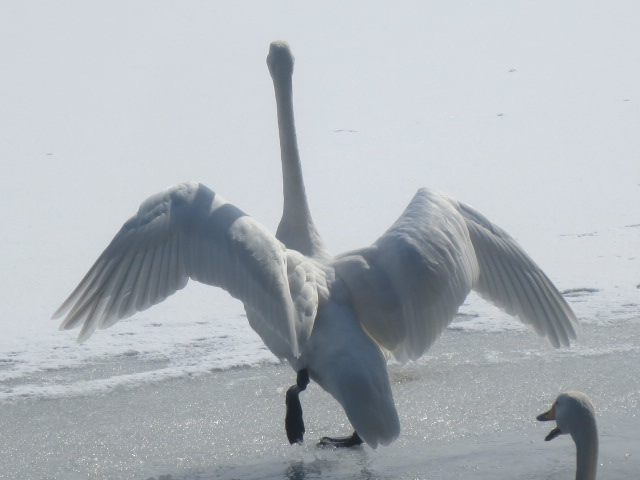 f0248616_1694646.jpg
