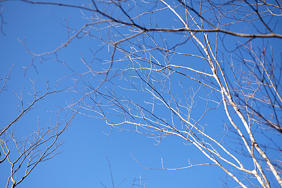 e0093018_20411334.jpg