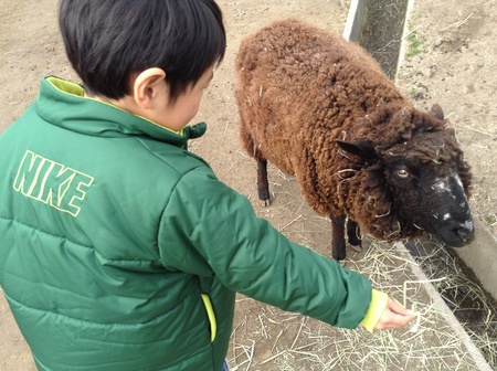 動物と触れ合ってみる_e0286326_18144625.jpg