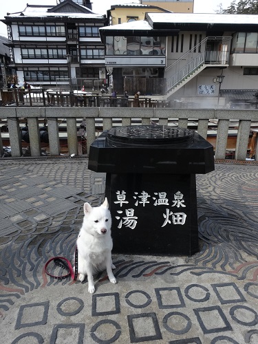 犬連れ小旅行　前半_a0024829_16165197.jpg