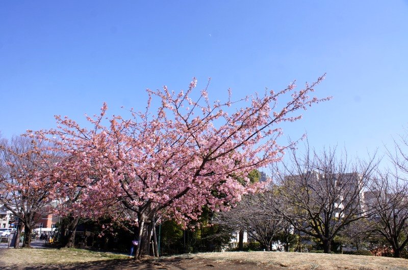 a0122932_12445193.jpg