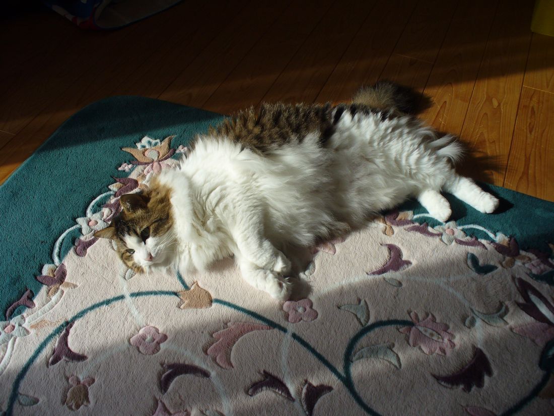 f0275632_2155838.jpg