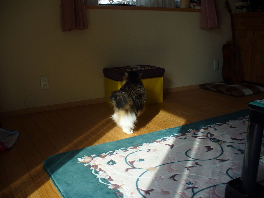 f0275632_21562141.jpg