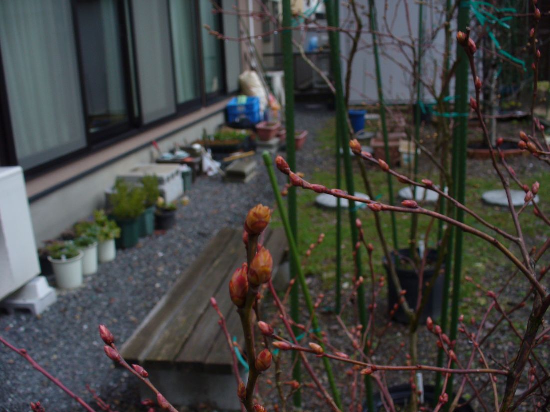 f0275632_221431.jpg