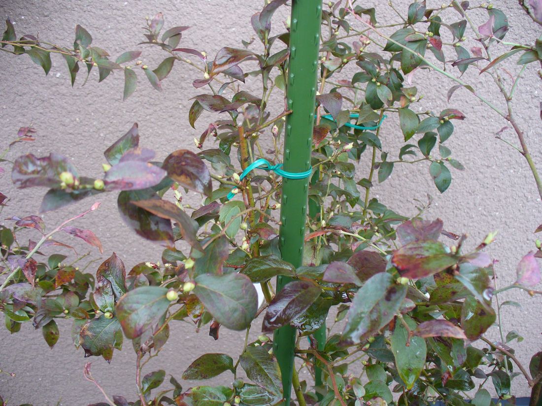f0275632_2221369.jpg