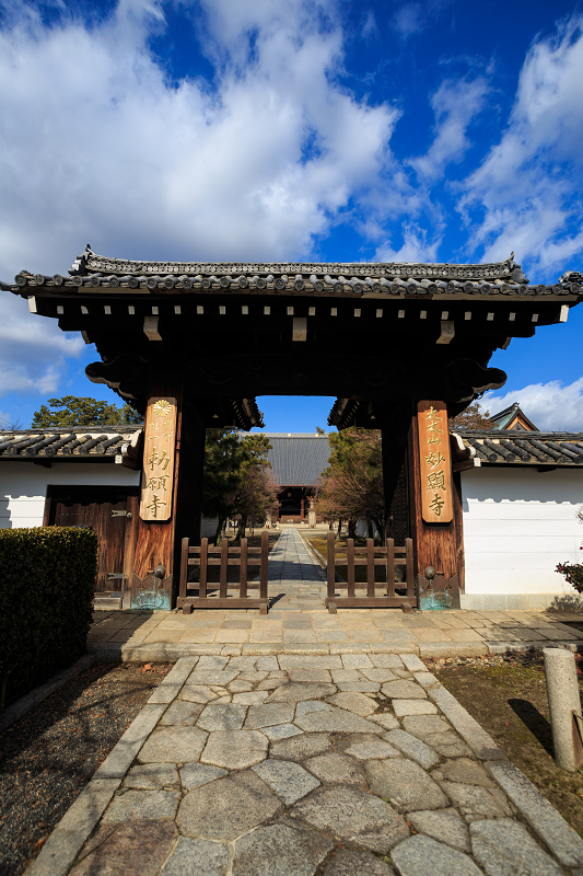 京の冬の旅・妙顕寺_f0155048_2227257.jpg