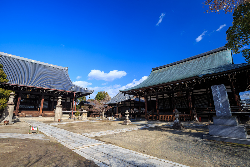 京の冬の旅・妙顕寺_f0155048_22275359.jpg