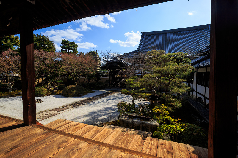 京の冬の旅・妙顕寺_f0155048_2231396.jpg