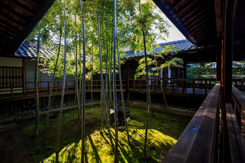 京の冬の旅・妙顕寺_f0155048_22342027.jpg