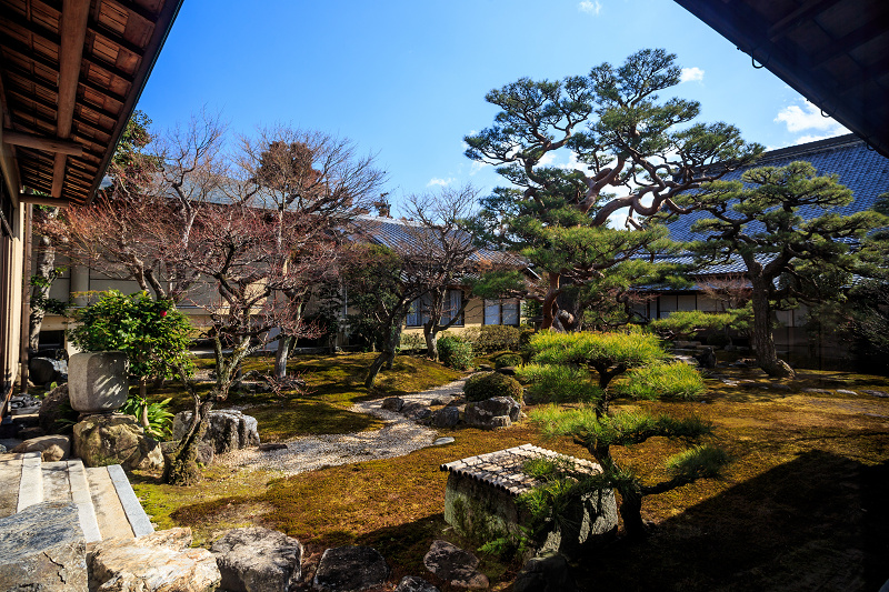 京の冬の旅・妙顕寺_f0155048_2236583.jpg